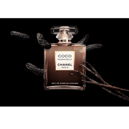 Brand Collection (Coco Chanel) Perfume Feminino – EDP 100 ml